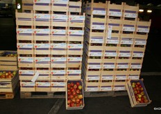 Le pomacee tedesche di Hermann Luckert.