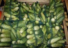 Oltre Hermanns Tomaten, era presente anche un coltivatore che vendeva cetriolini.