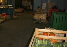 Prodotti della zona: cetrioli e zucche.