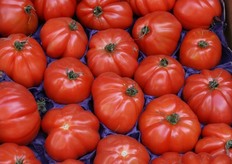 I pomodori Cuore di Bue non sono certo a buon mercato!
