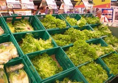 Assortimento di ortaggi in foglia.