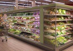 Ampio assortimento di insalate di quarta gamma.