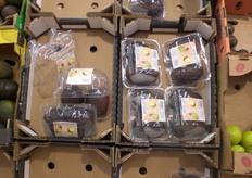 Avocado preconfezionati.