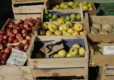 Un euro al kg per mele di seconda categoria.