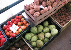 Grazie al clima adatto, a Madeira puo' essere coltivata anche la cherimoya (Annona reticulata).