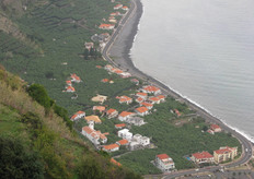 La coltivazione di banane non puo' superare i 300 metri di altezza, al di sopra dei quali il clima e' piu' freddo.