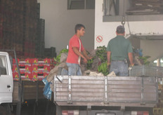 La cooperativa locale si occupa del confezionamento delle banane destinate all'esportazione verso la terra ferma portoghese.