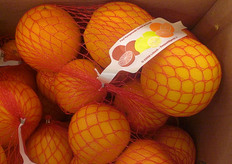 Retine di arance da Lidl.