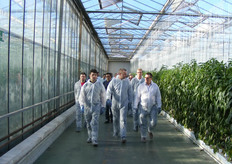 Il gruppo olandese all'interno di una delle serre della Natural Growers.