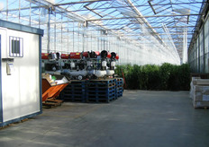 L'aspetto della serra e' ottimo.