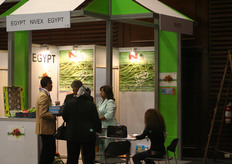 Esportatore egiziano di verdure.