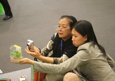 Ripresa fotografica di un germoglio Koppert Cress presso lo stand della Greenery.