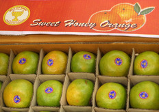 Arance impacchettate e bollinate una ad una.