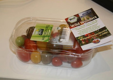 Pomodorini selvatici