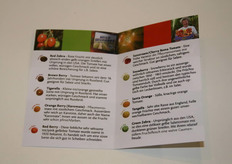 Brochure che indica quali pomodorini selvatici sono commestibili.