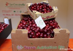 Cassetta ciliegie Ferrovia