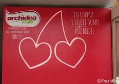 Attrazione per visitatori allo stand Orchidea Frutta