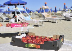 Prodotti esposti sulle sedie a sdraio: nettarine Solarelli