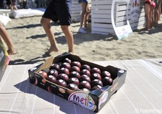 Prodotti esposti sulle sedie a sdraio: susine Metis