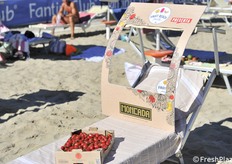 Prodotti esposti sulle sedie a sdraio: pomodoro Moncada