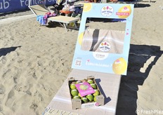 Prodotti esposti sulle sedie a sdraio: limoni Citrus