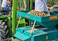 Lo scarico delle mandorle