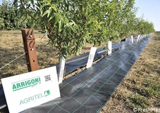 Soluzione di pacciamatura