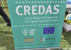 Il rollup del progetto Credas