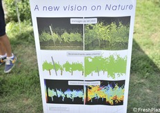 Cosa è possibile visualizzare in campo con telecamere dedicate