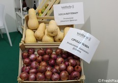 Esempi di ortaggi coltivati dalla cooperativa.