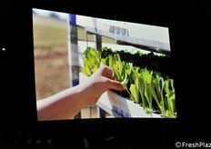 Alcune immagini del video aziendale di Geofur