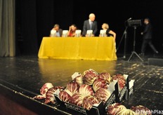 Il radicchio, il prodotto che Rodolfo ha fatto conoscere in tutto il mondo