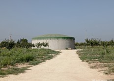 L'acqua non è mai troppa