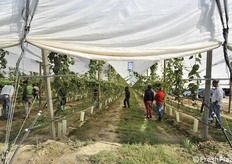 Trapianto in aprile 2022