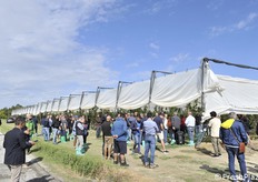 Visita in provincia di Ravenna