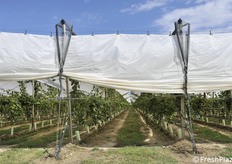 Reti antipioggia e antigrandine