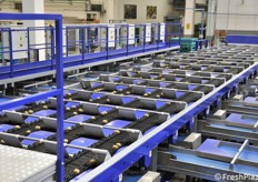 L'impianto è una realizzazione di Unitec