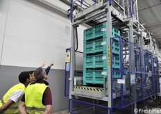 La fase di carico del kiwi