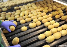 Primo controllo da parte di un operatore 