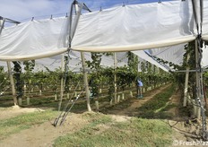 Altro impianto visitato, primo anno, non ancora in produzione