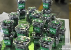 All'ingresso un omaggio di benvenuto