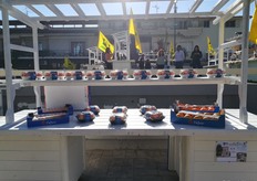 I cachi dell'Azienda Divano