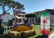 Le conserve di Assopaf