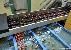 Una fase della selezione