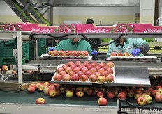 Confezionamento in alveoli