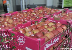 Cassette pronte per la spedizione