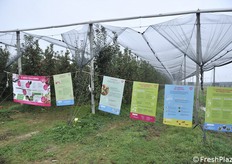 La visita degli studenti è stata corredata da pannelli illustrativi