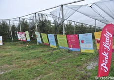 La visita degli studenti è stata corredata da pannelli illustrativi