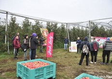 Giornata uggiosa ma ricca di contenuti