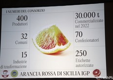 I numeri dell'Arancia Rossa Igp